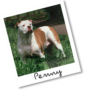 Penny